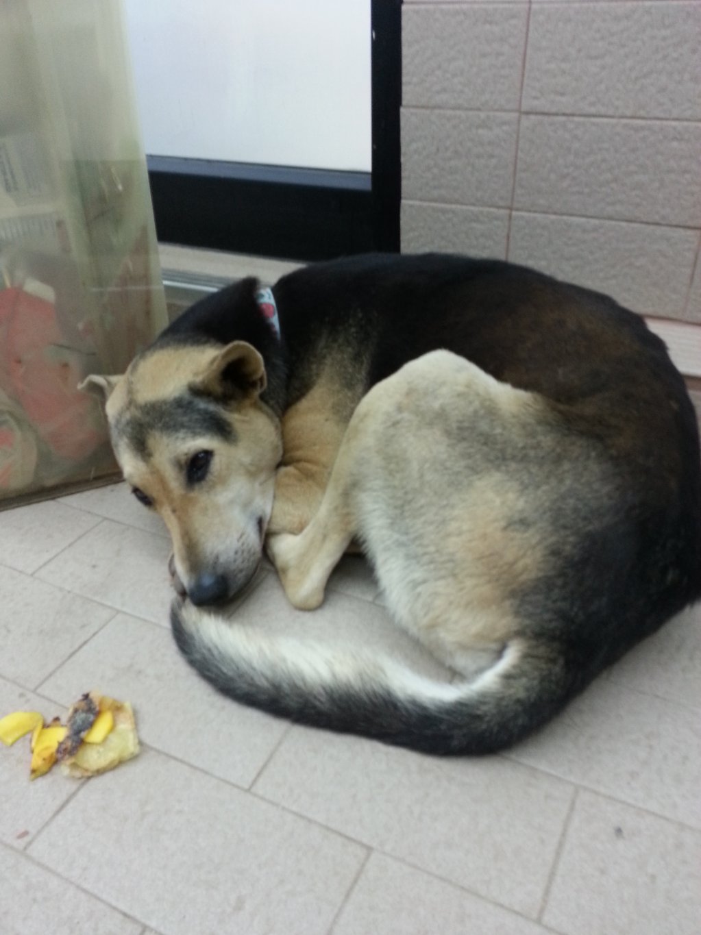 20130101_212302.jpg