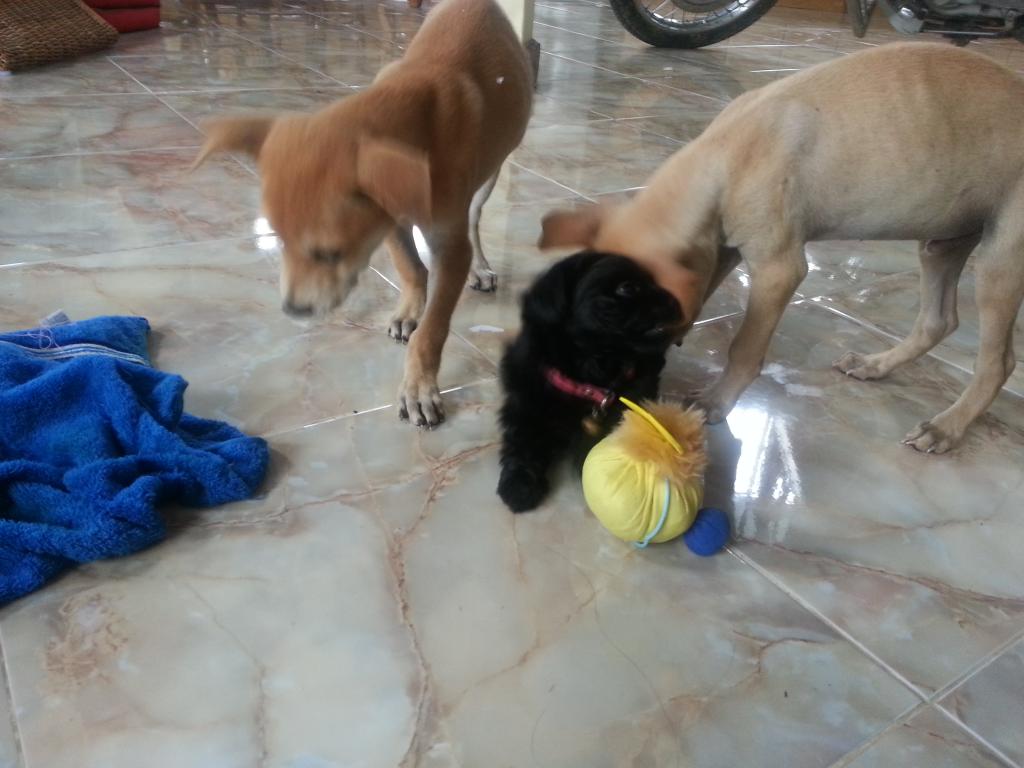20130716_080740.jpg