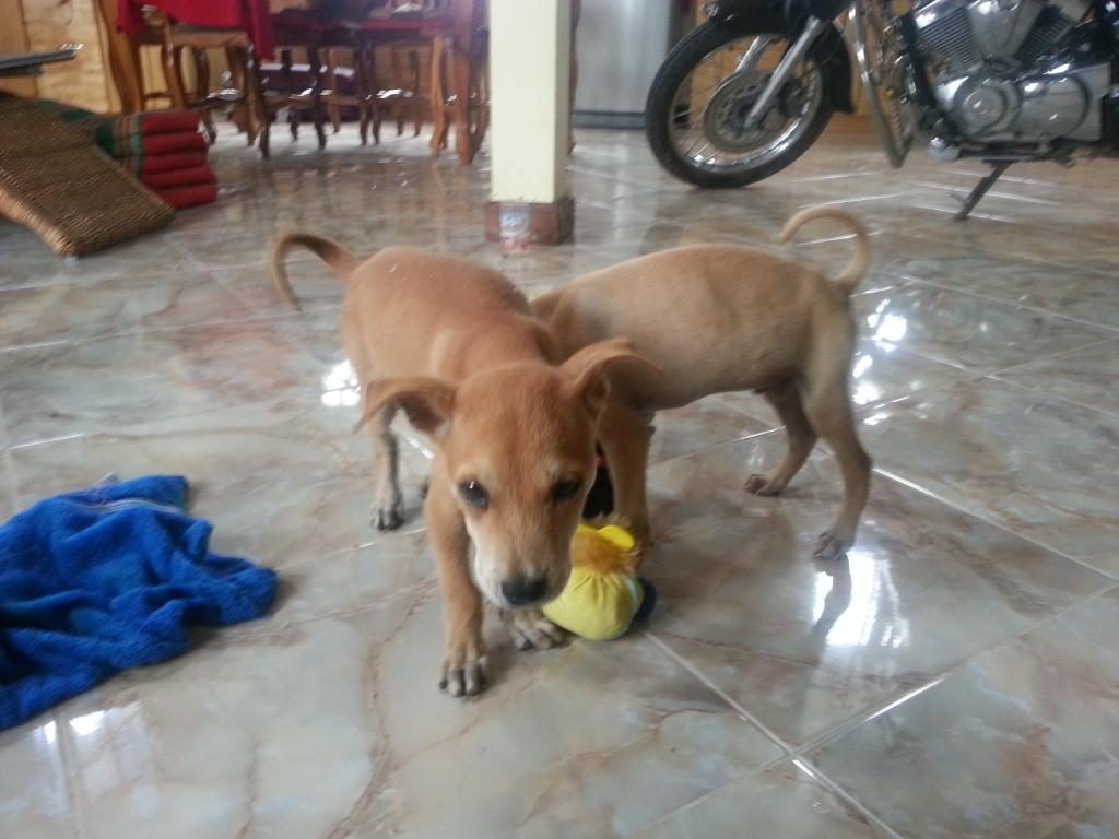 20130716_080751.jpg