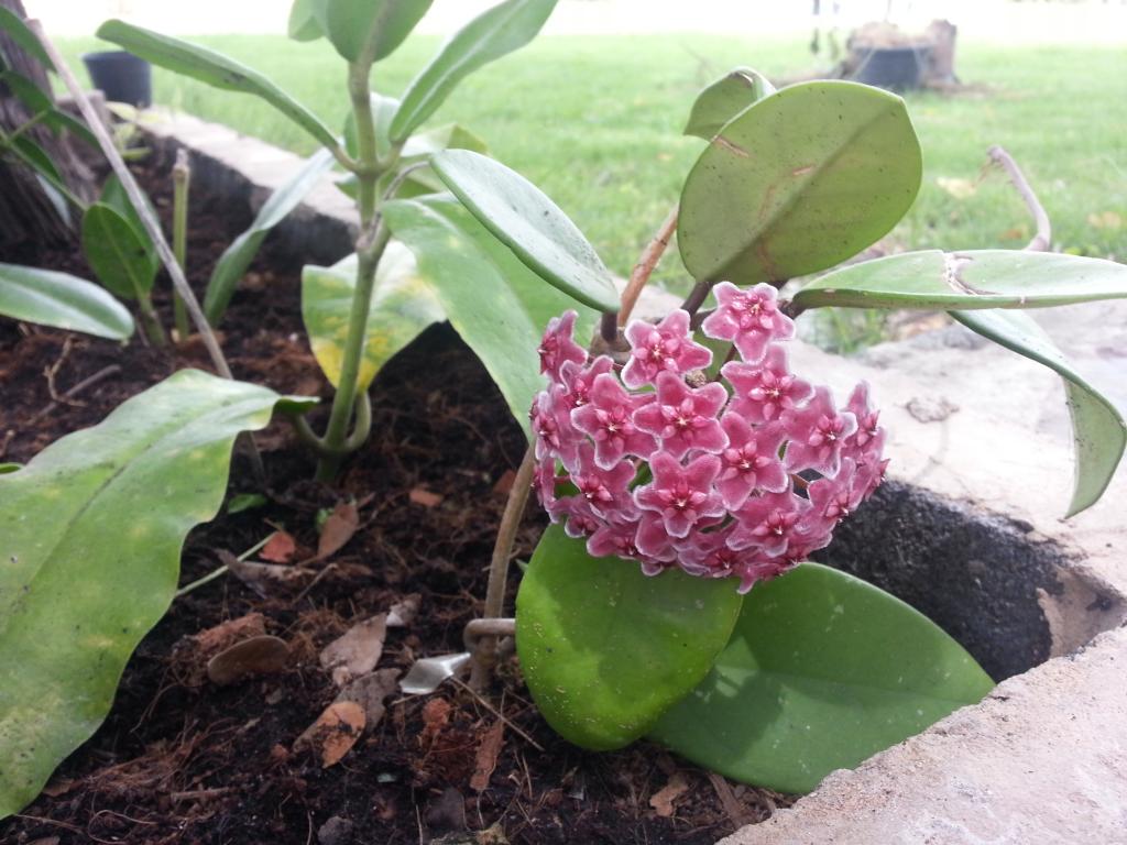 20130719_132016.jpg