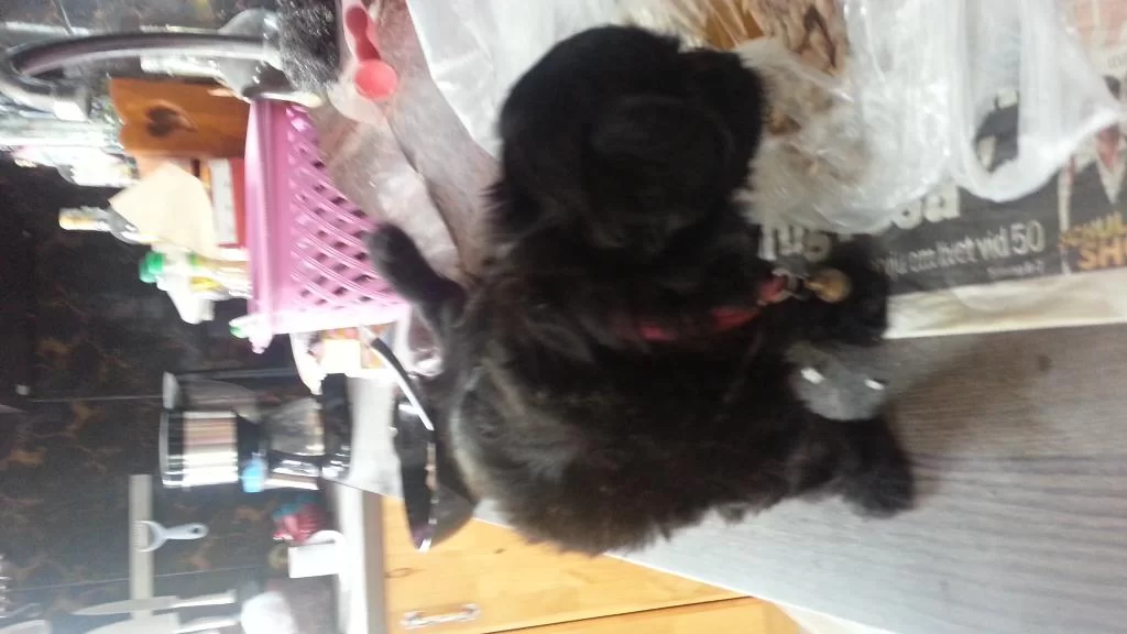 20130719_133951.webp