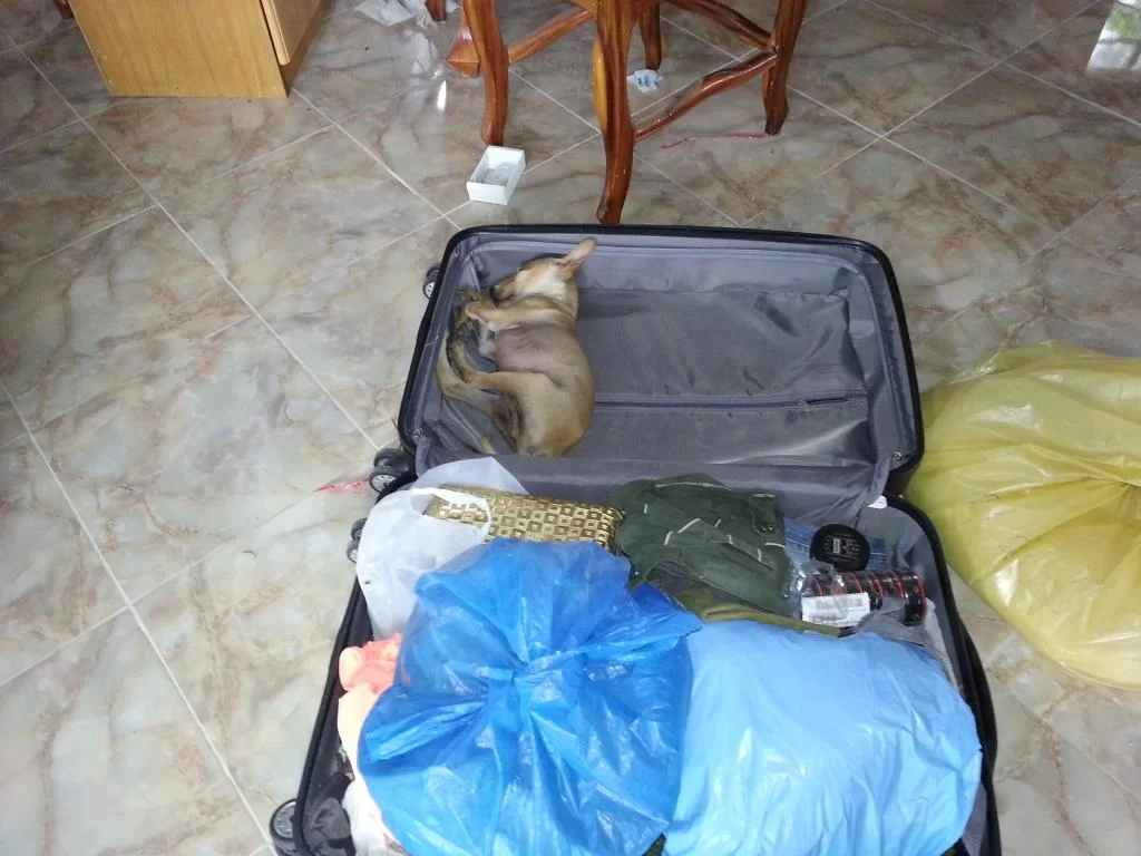 20130727_170747.webp