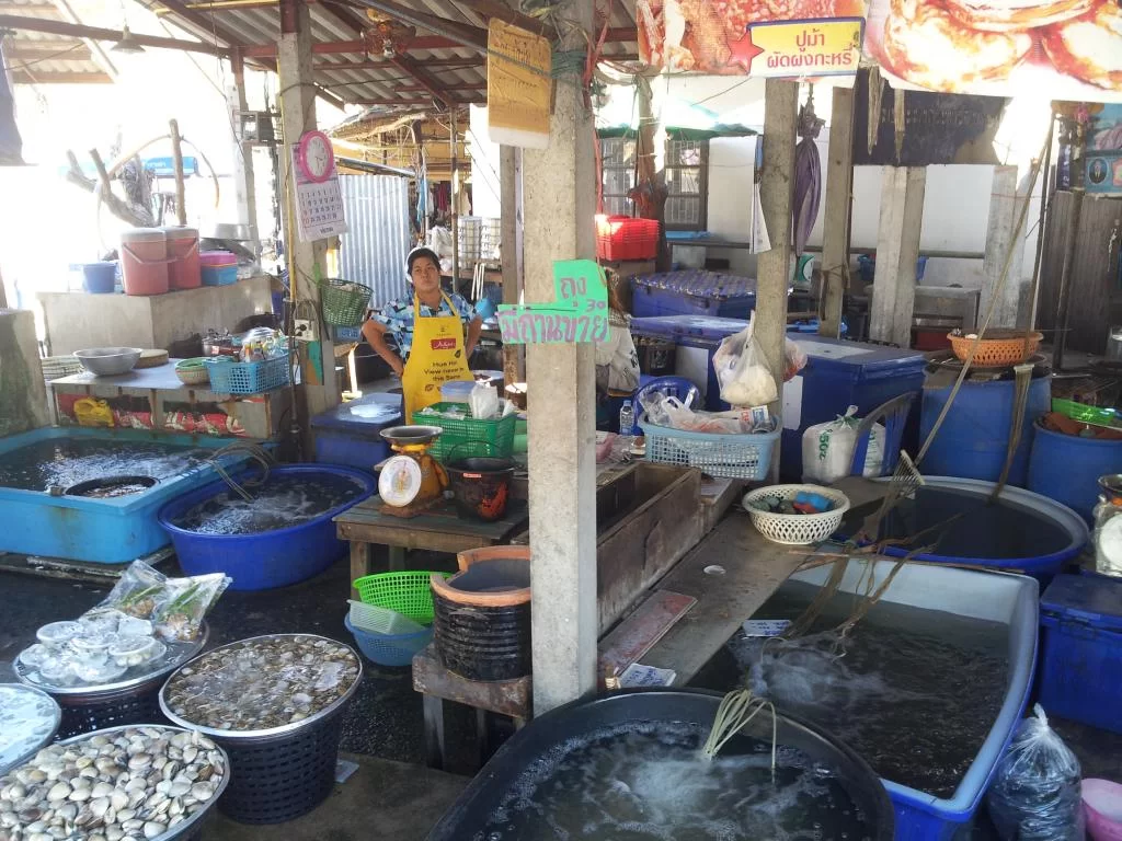 2014-02-10 15.23.34.webp