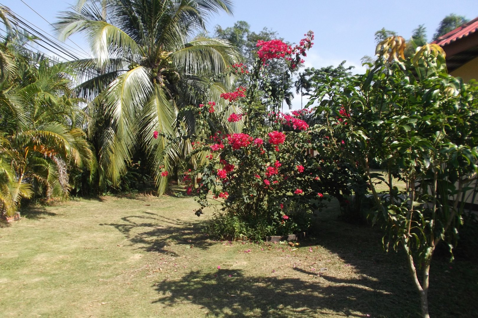 2015-01-02 02.52.56.jpg