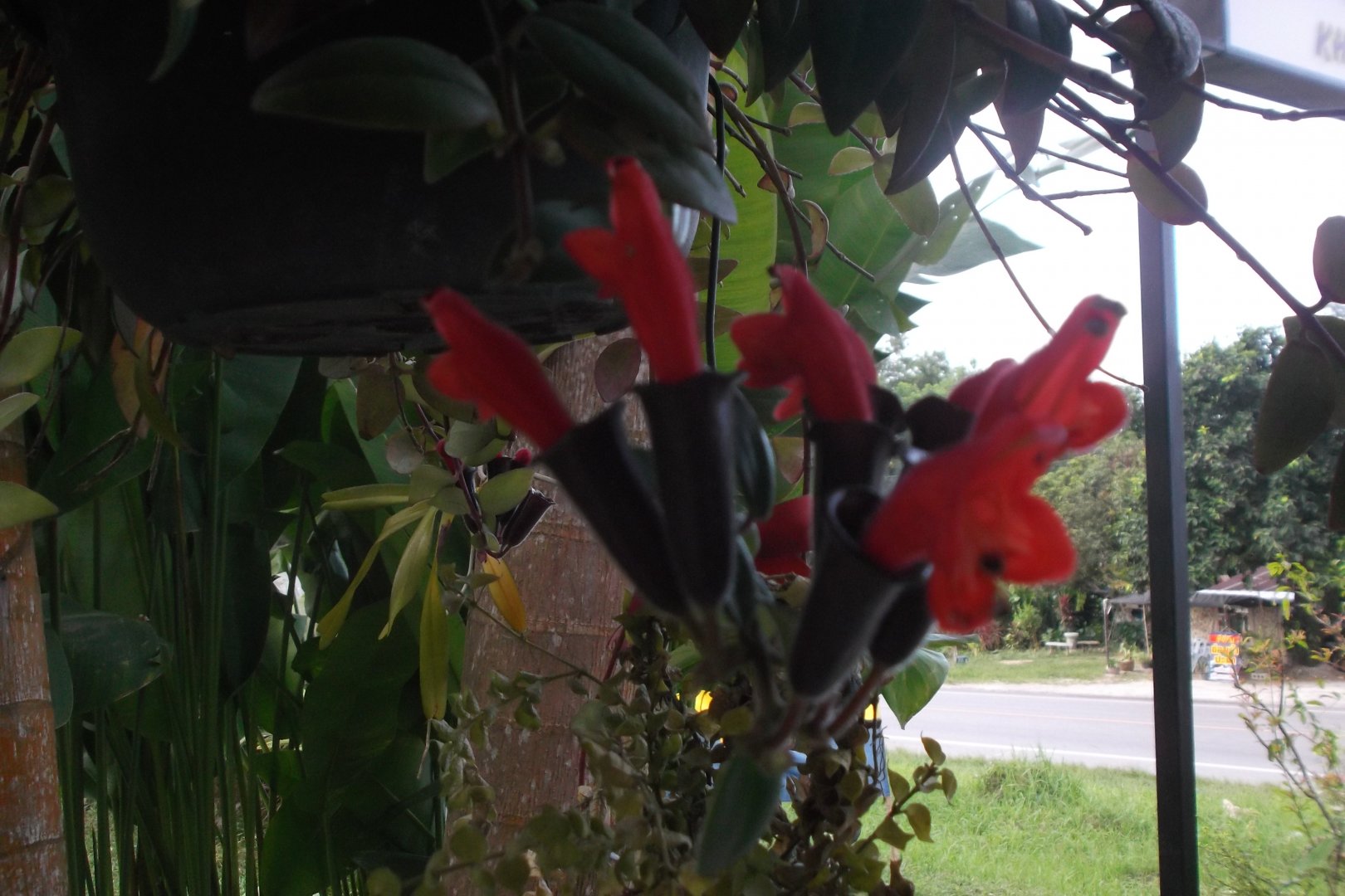 2015-01-14 20.11.54.jpg