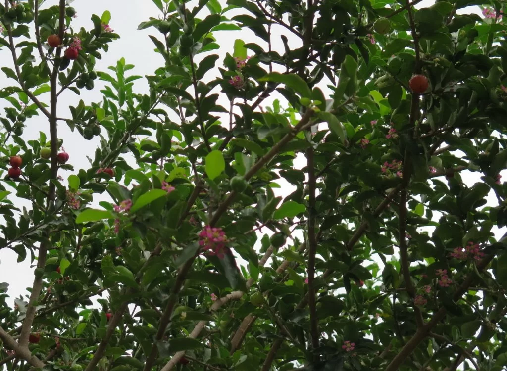 2015-04-12 13-44-10.webp