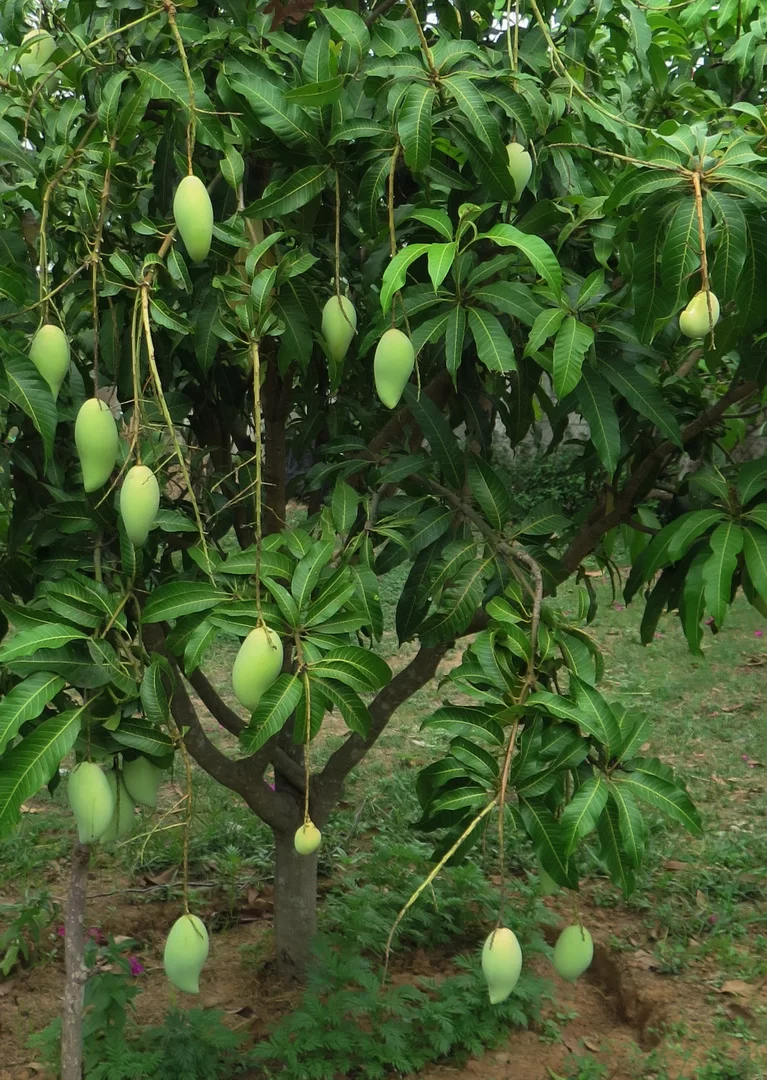 2015-04-12 13-44-12.webp