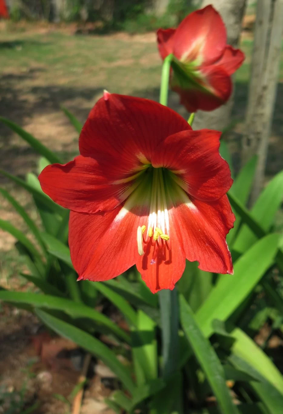 2015-04-14 13-47-01_0003.webp