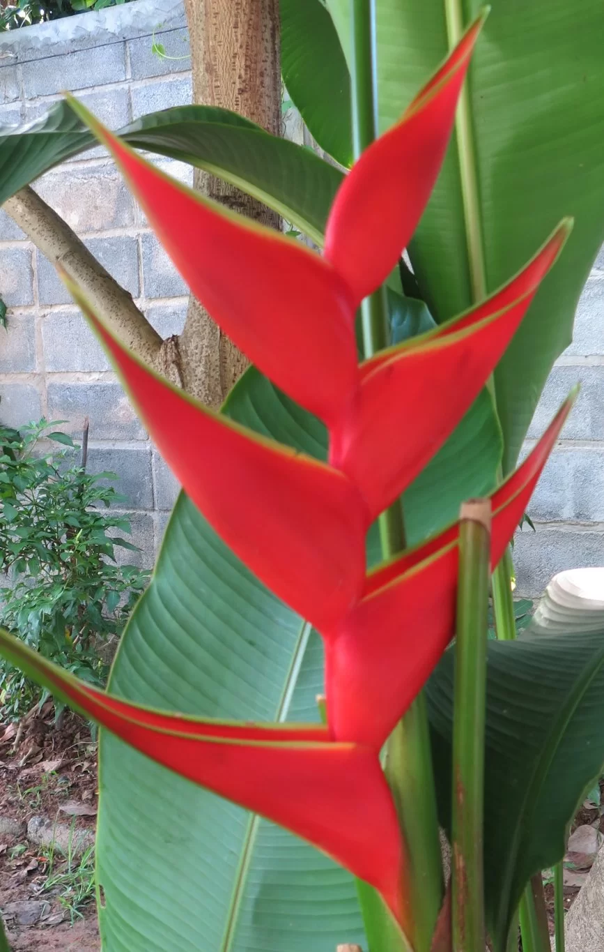 2015-05-02 08-04-46_0007.webp