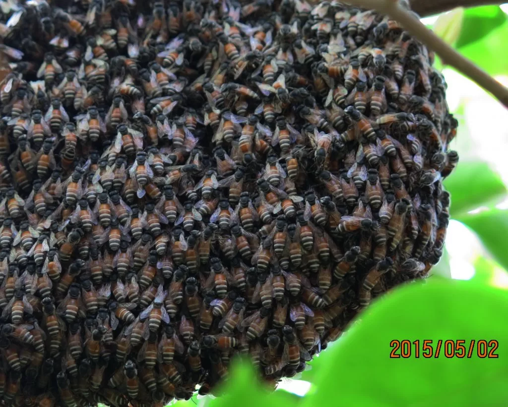 2015-05-02 08-09-39_0011.webp