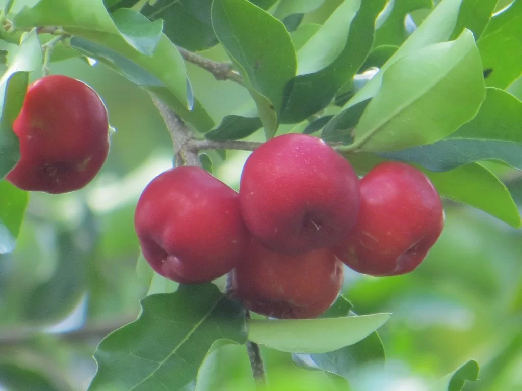 2015-05-31 14-08-36_0009.webp