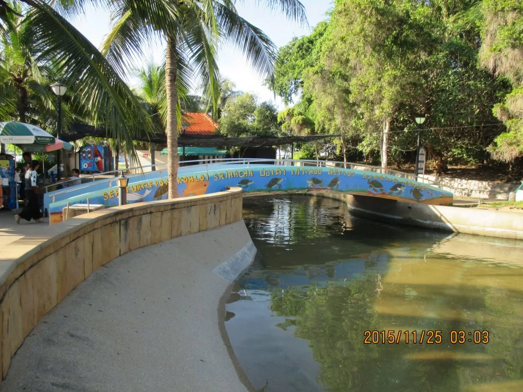 2015-11-25 03.03.37.webp