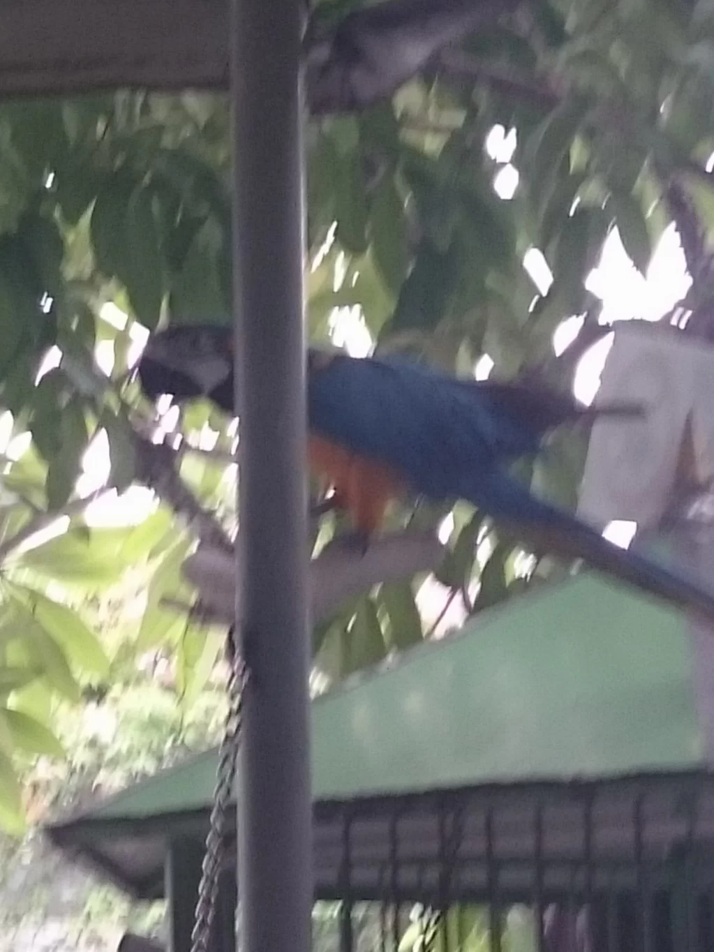 20150718_174516.webp