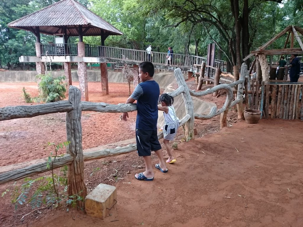 20150726_141847.webp