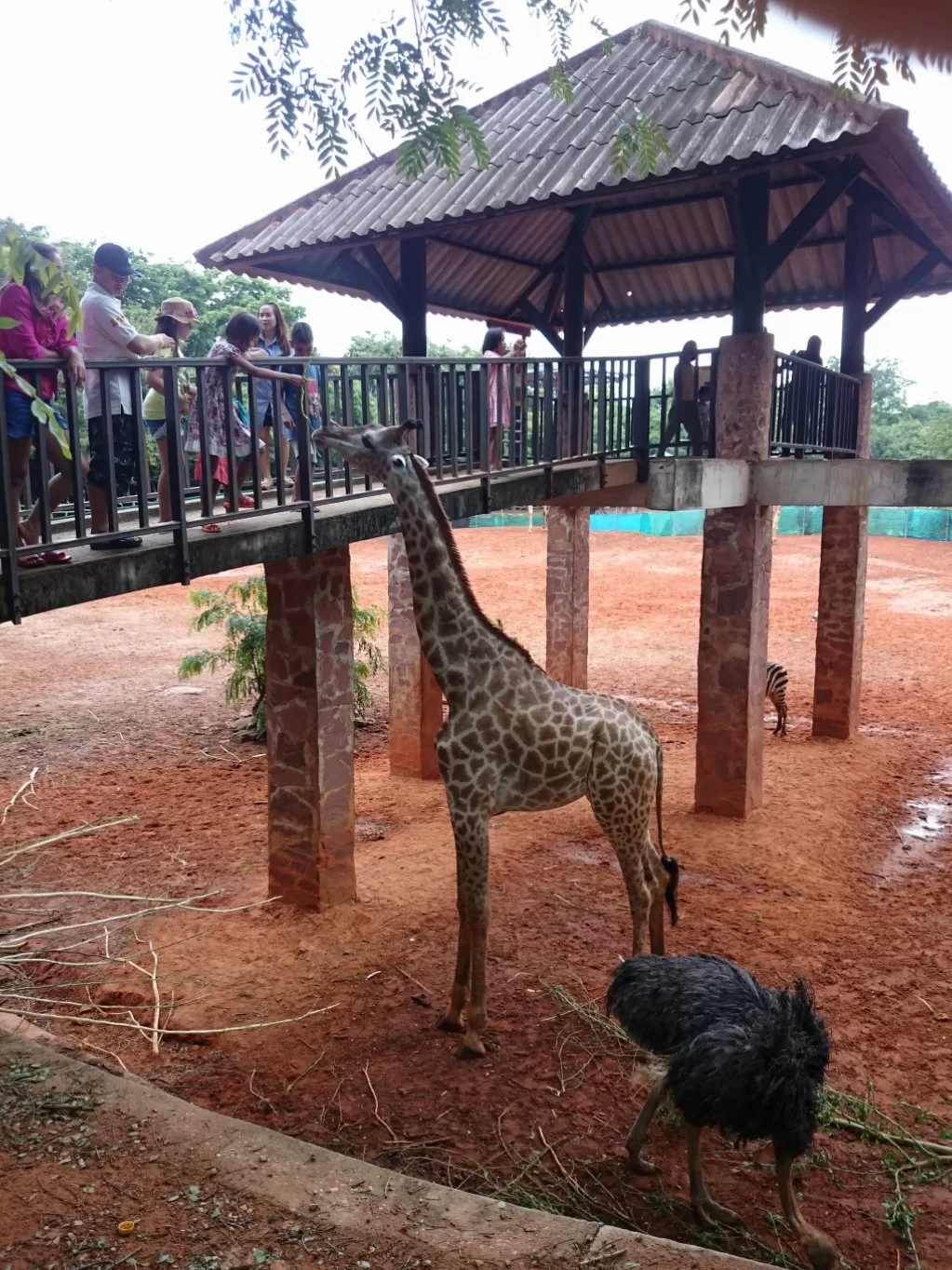 20150726_142008.webp