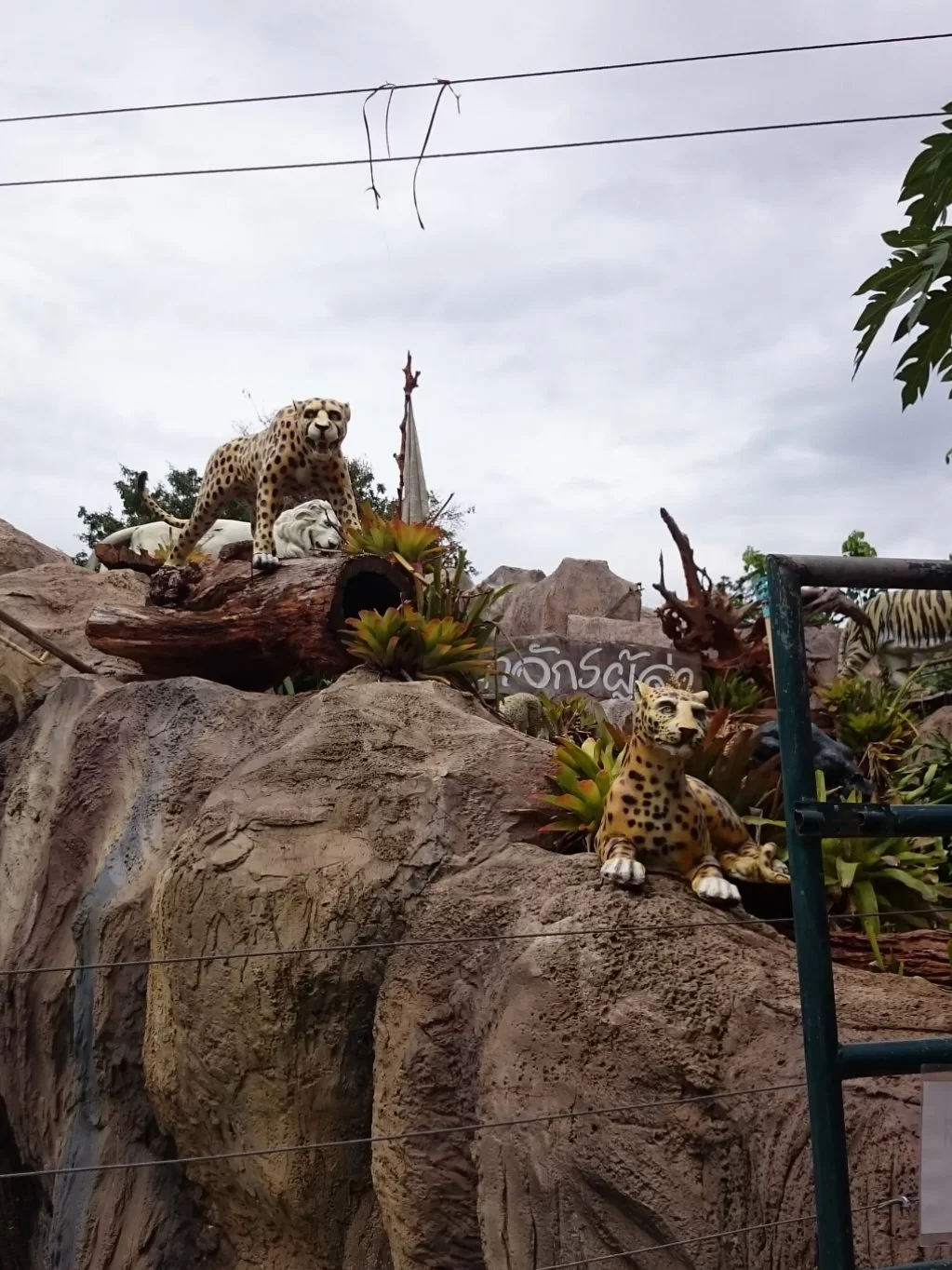 20150726_143825.webp