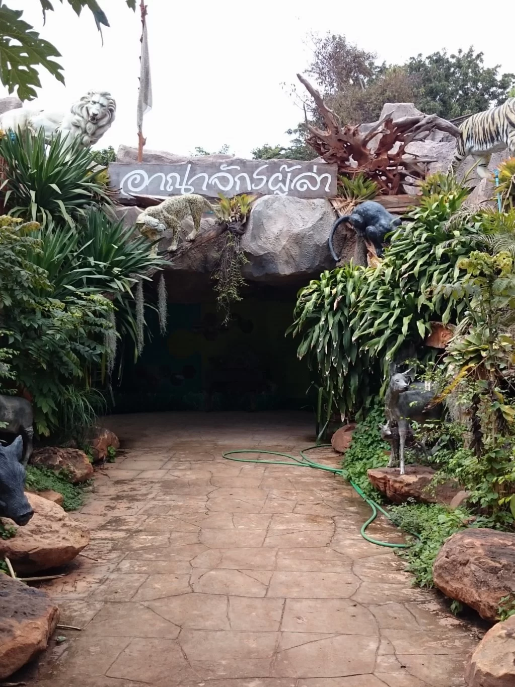 20150726_143836.webp