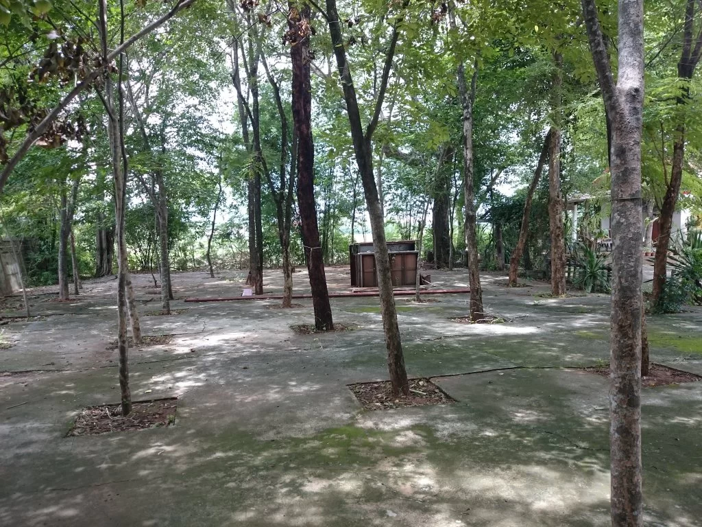 20150731_115404.webp