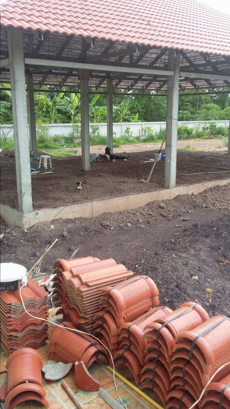 20150811_125008.jpg