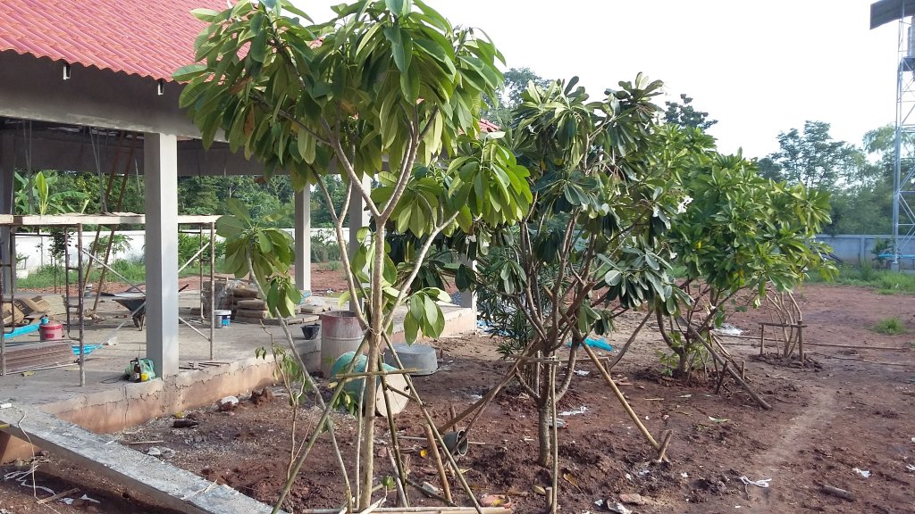 20150928_164208.jpg