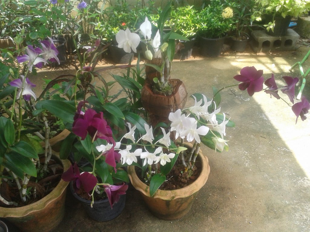 20151009_113143.jpg