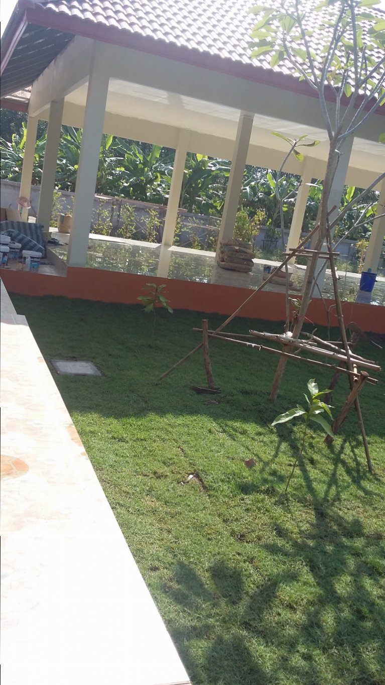 20151017_091342.jpg