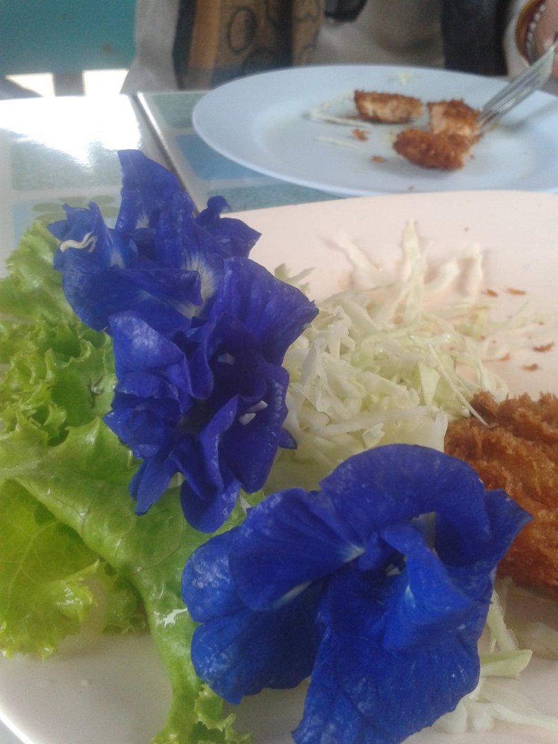 20151107_130008.jpg
