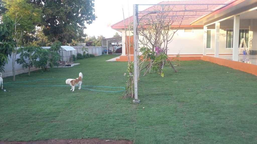 20151113_170517.jpg
