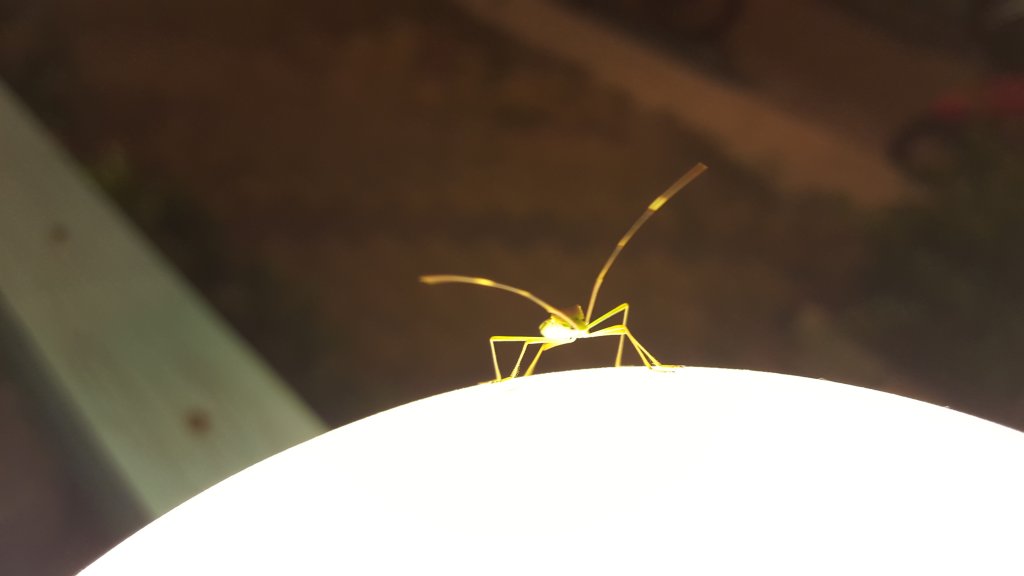 20151121_223549.jpg