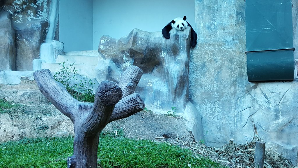 20151123_160832.jpg