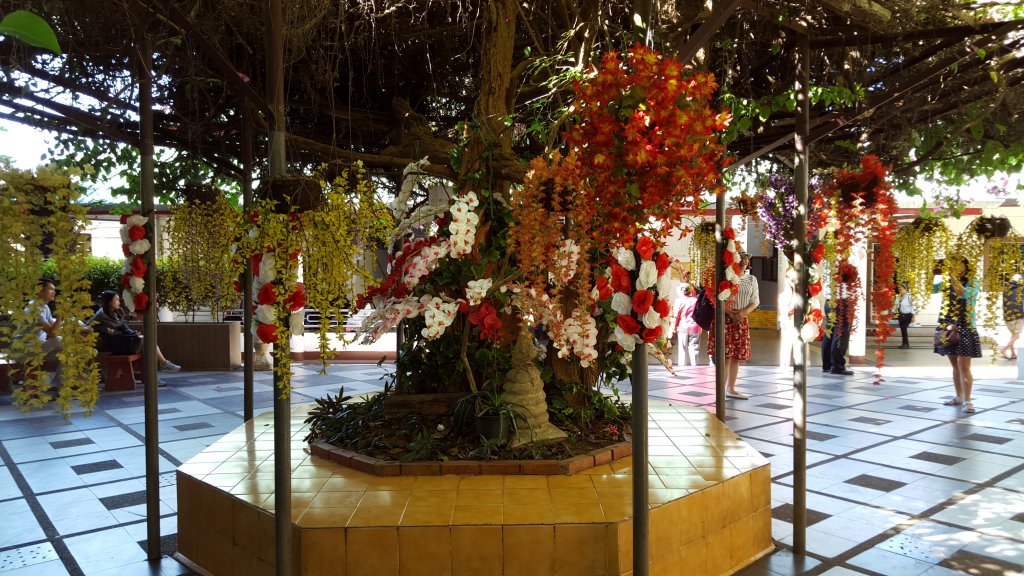 20151124_101149.jpg