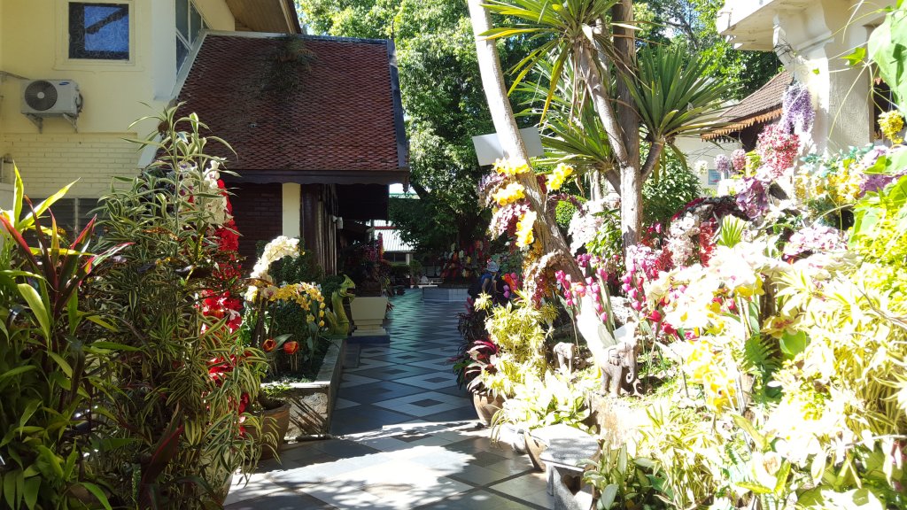 20151124_102111.jpg