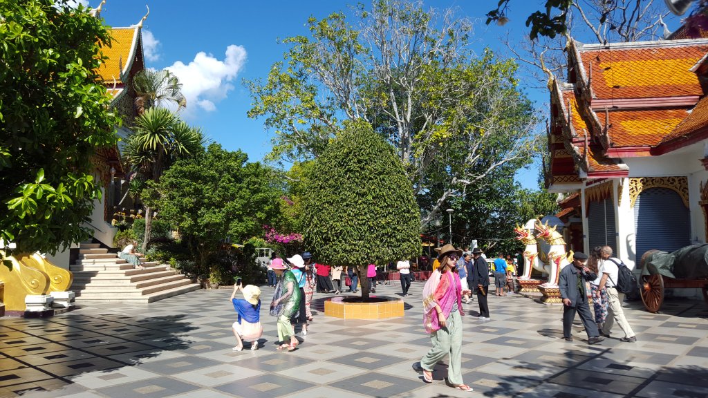 20151124_103530.jpg