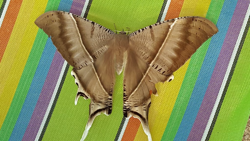 20151201_164155.jpg