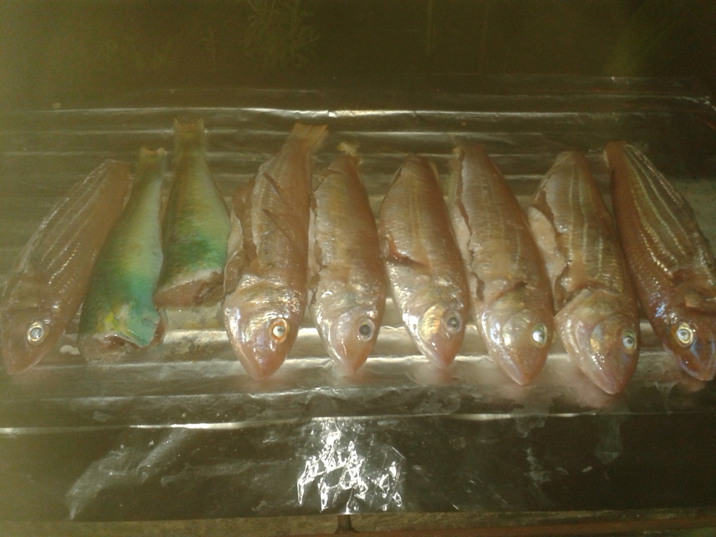 20151211_184318.jpg