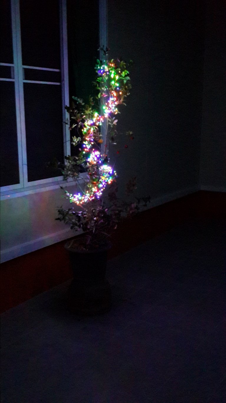 20151216_180216.jpg