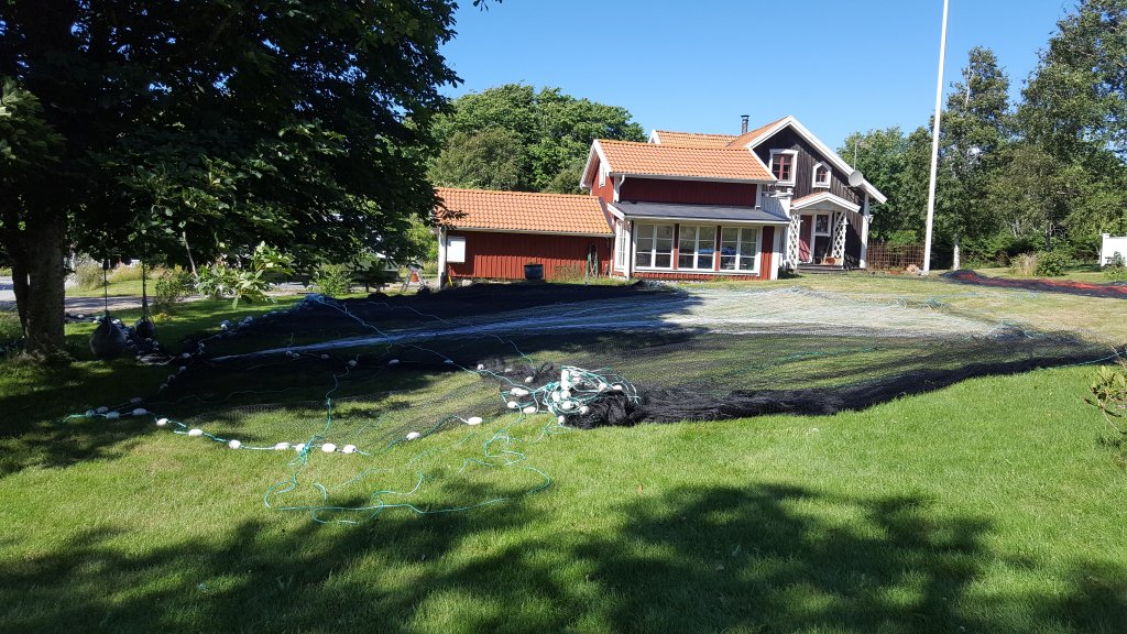20160628_154457.jpg