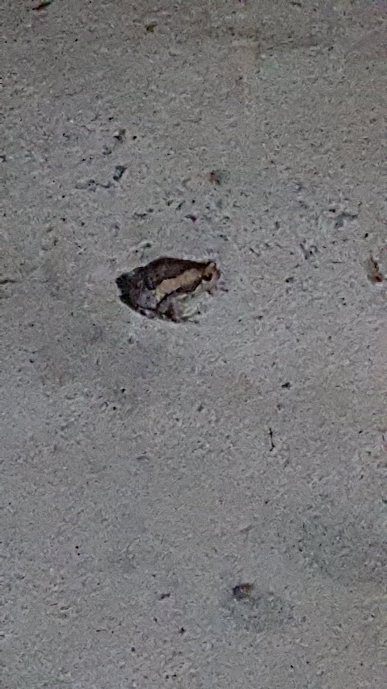 20160712_211331.jpg