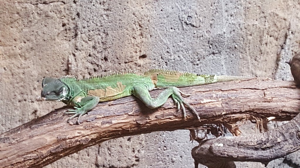 20160723_115702.jpg