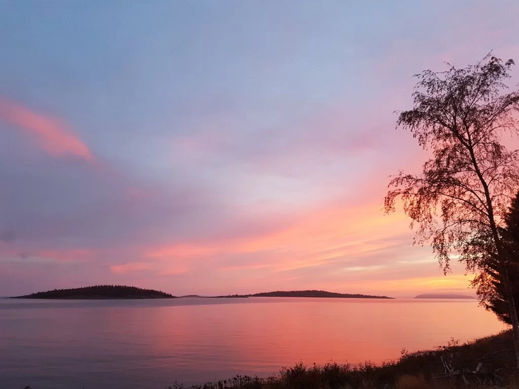 20160925_185326.webp