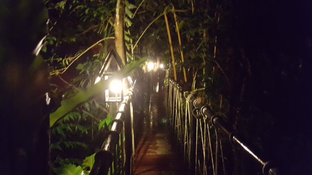 20161016_183420.jpg