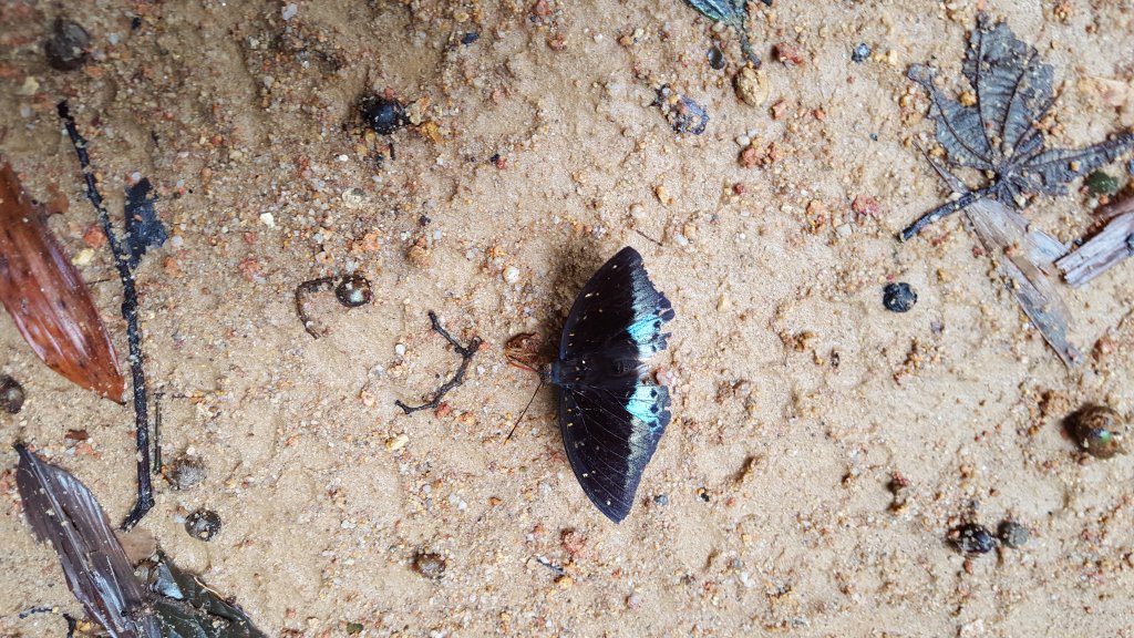 20161017_144919.jpg