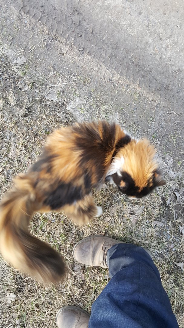 20170326_174711.jpg