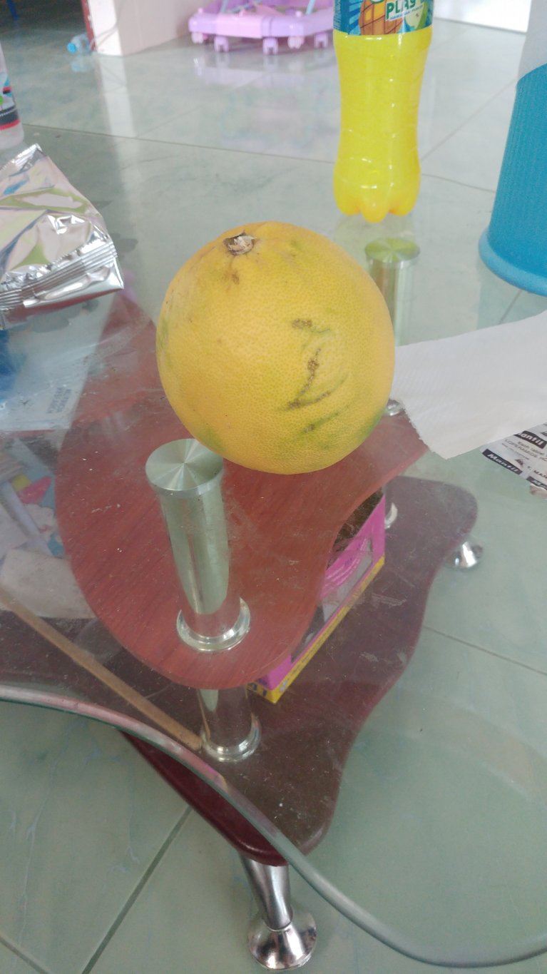 20170609_103731.jpg