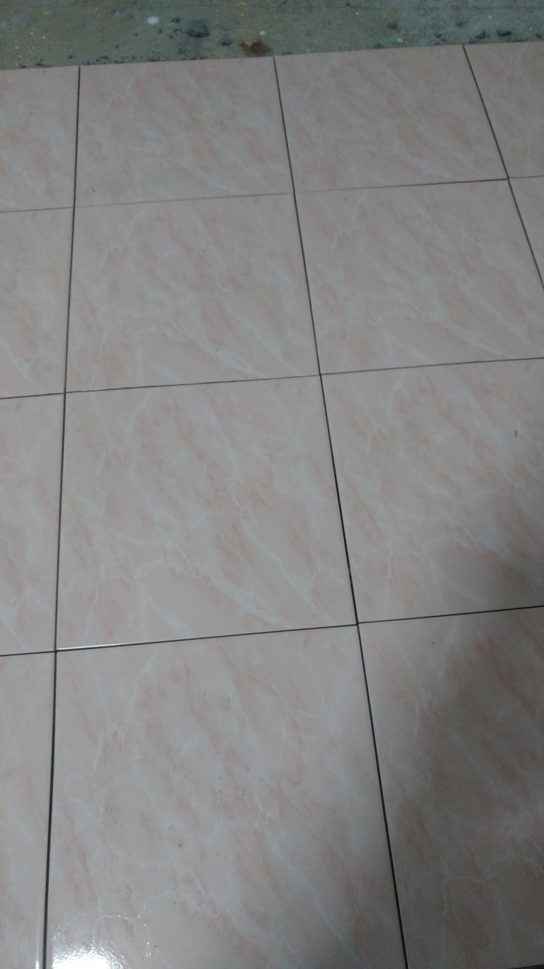 20170609_180316.jpg