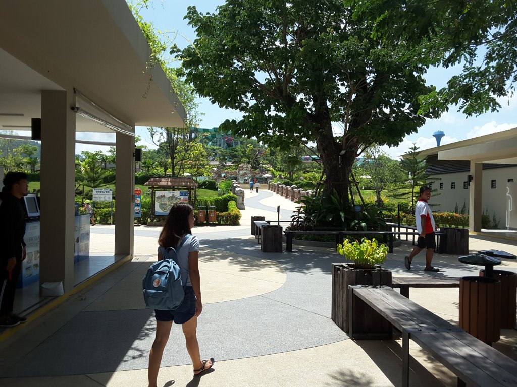 20170610_111403.jpg