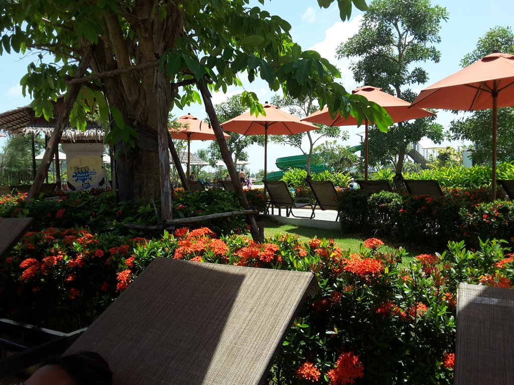 20170610_113846.jpg