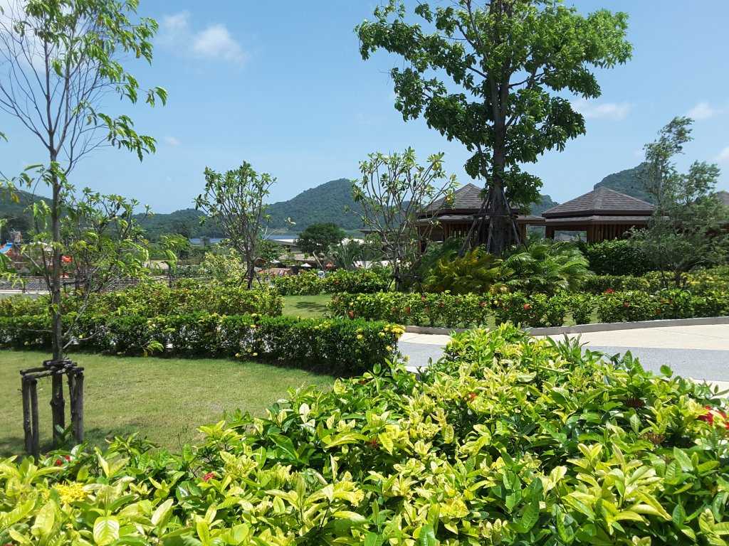 20170610_113907.jpg