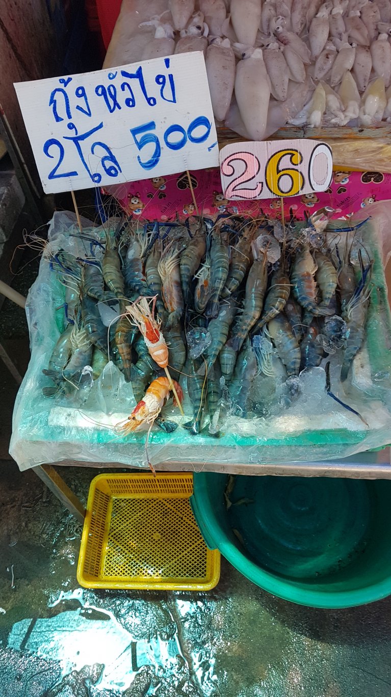 20170927_114916.jpg