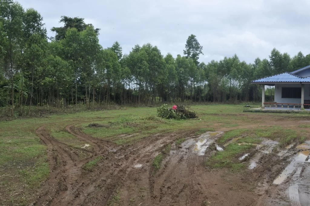 2018-08-06 07-45-46.webp